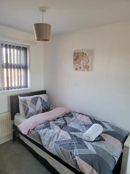 2 Bedroom End Of Terrace House Wellington  Ngoại thất bức ảnh